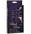 Вагинальные шарики BLACK ROSE BEN WA BALLS PURPLE D 2см